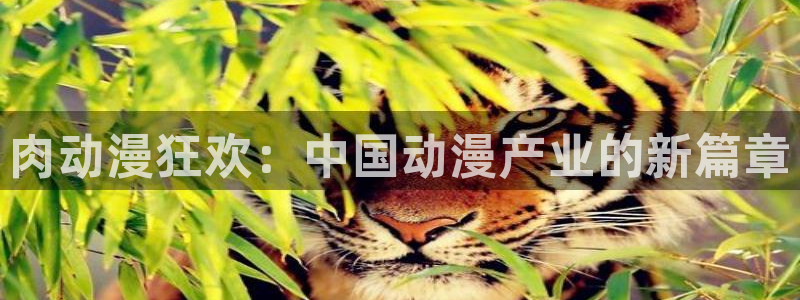 h动漫天堂