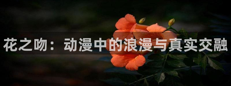 acg动漫天堂