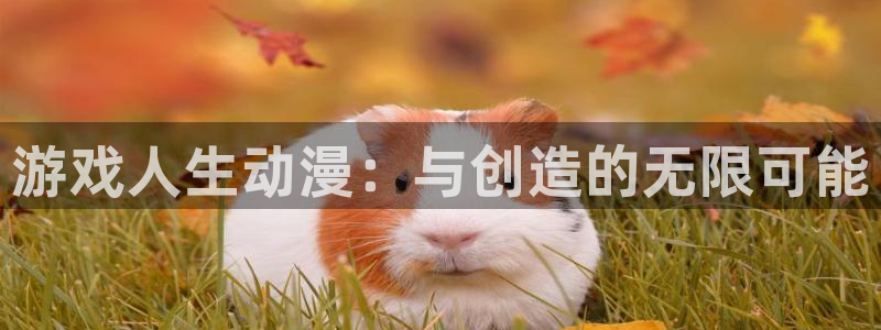动漫天堂从哪下载安装