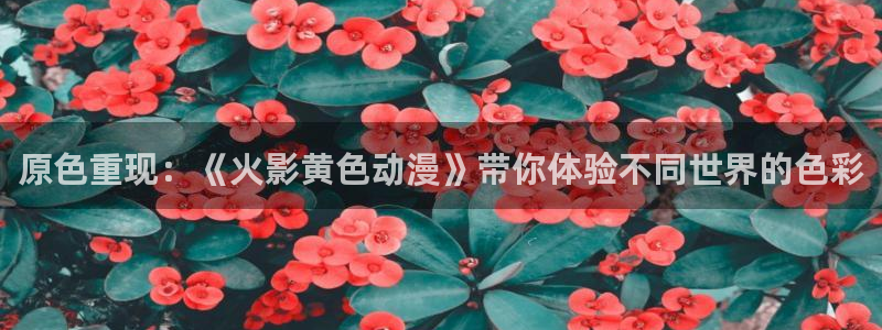 免费a漫动漫天堂.