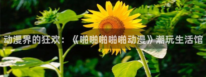 动漫天堂免费在线观看