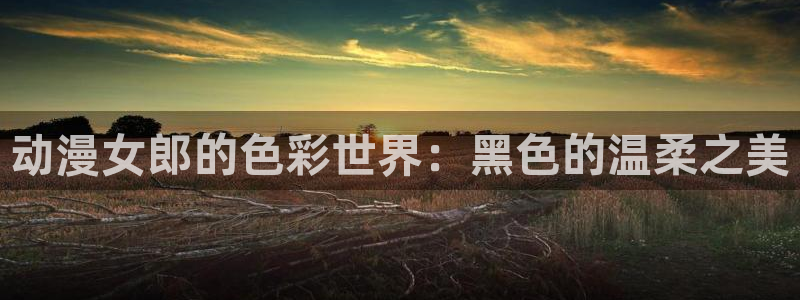 动漫天堂下载安装最新版