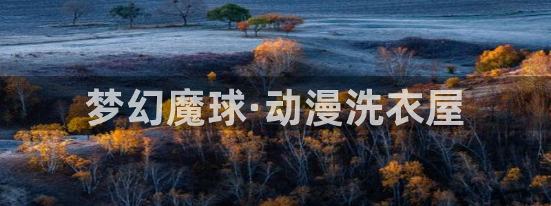 原神动漫天堂免费入口