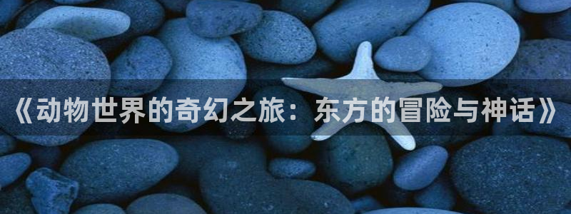 樱花动漫天堂