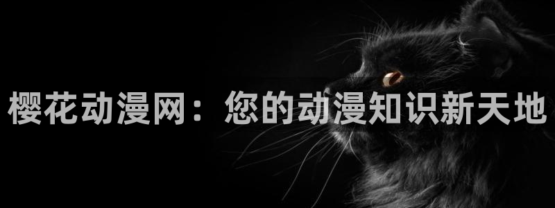 原神动漫天堂免费入口