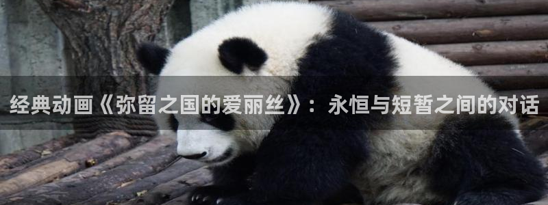 h动漫天堂：经典动画《弥留之国的爱丽丝》：永恒与短暂之间的对话