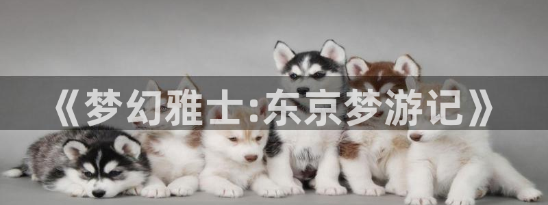 动漫天堂下载官方：《梦幻雅士:东京梦游记》