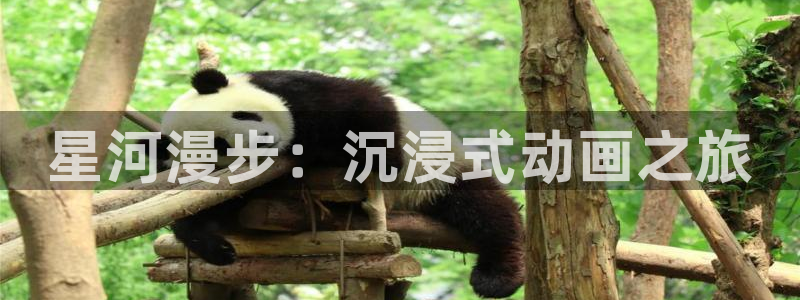 原神动漫天堂免费入口