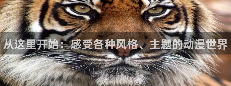 原神禁动漫天堂：从这里开始：感受各种风格、主题的动漫世界