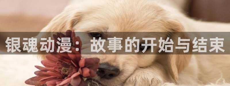 av动漫天堂网