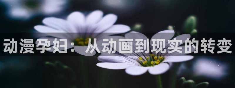 动漫天堂在线观看：动漫孕妇：从动画到现实的转变