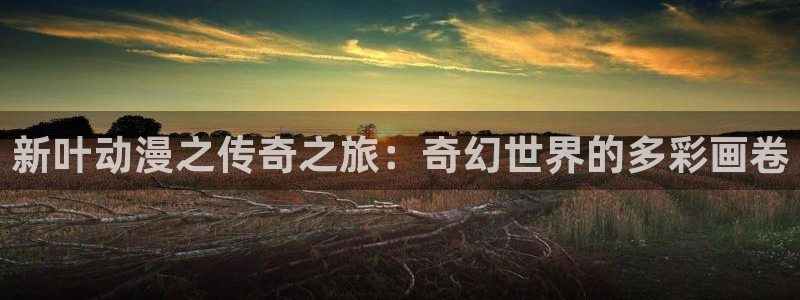 秋叶原动漫天堂：新叶动漫之传奇之旅：奇幻世界的多彩画卷