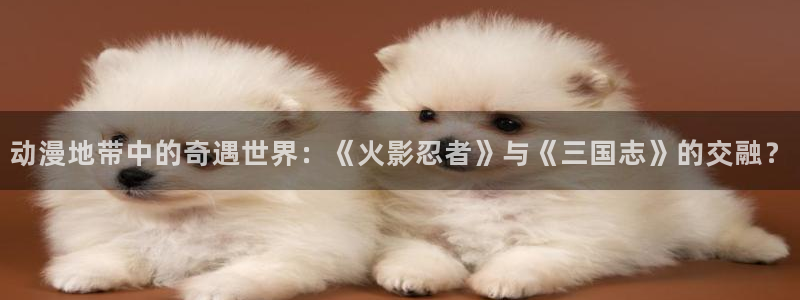 成人动漫天堂网：动漫地带中的奇遇世界：《火影忍者》与《三国志》的交融？