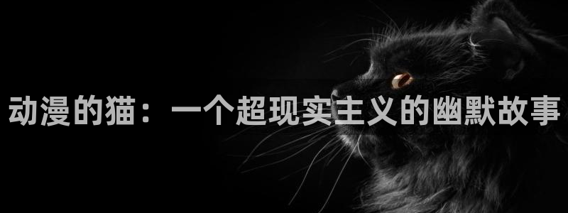 动漫天堂总站：动漫的猫：一个超现实主义的幽默故事