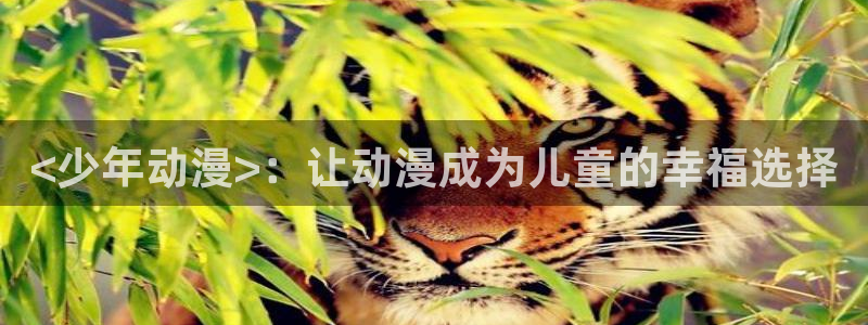 动漫天堂之吻：<少年动漫>：让动漫成为儿童的幸福选择