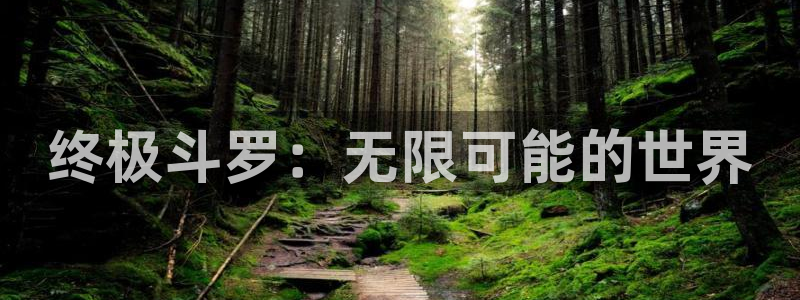 动漫天堂18：终极斗罗：无限可能的世界