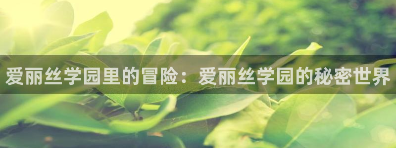 动漫天堂免费在线观看：爱丽丝学园里的冒险：爱丽丝学园的秘密世界