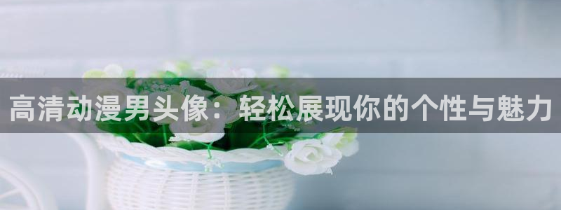 番剧推荐动漫天堂.：高清动漫男头像：轻松展现你的个性与魅力