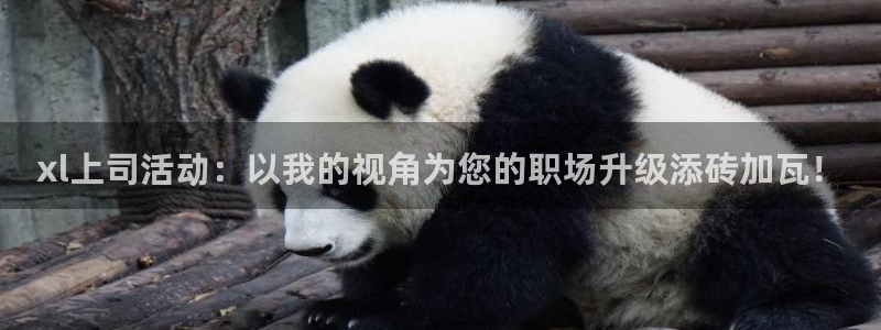 亚洲动漫天堂：xl上司活动：以我的视角为您的职场升级添砖加瓦！
