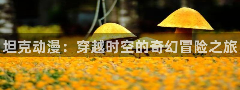 番剧推荐动漫天堂.：坦克动漫：穿越时空的奇幻冒险之旅