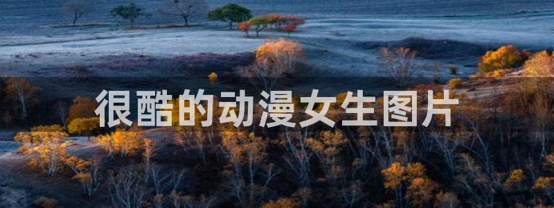 18禁动漫天堂：很酷的动漫女生图片