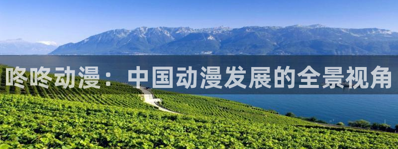18禁动漫天堂：咚咚动漫：中国动漫发展的全景视角