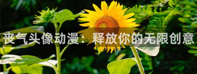 jk动漫天堂：丧气头像动漫：释放你的无限创意