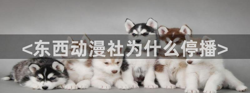内地动漫天堂：<东西动漫社为什么停播>