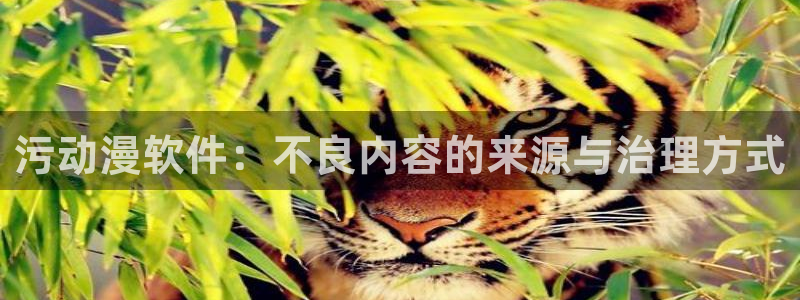 动漫天堂.cc：污动漫软件：不良内容的来源与治理方式