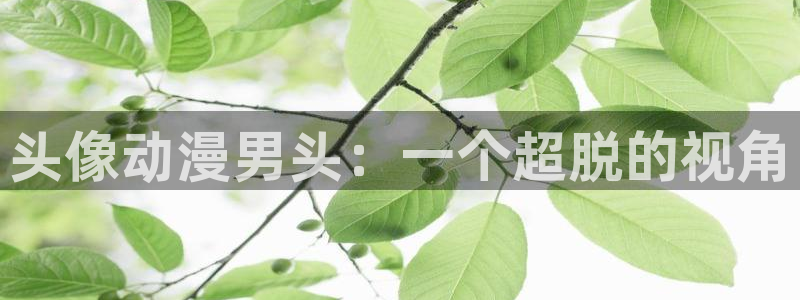 18禁动漫天堂：头像动漫男头：一个超脱的视角