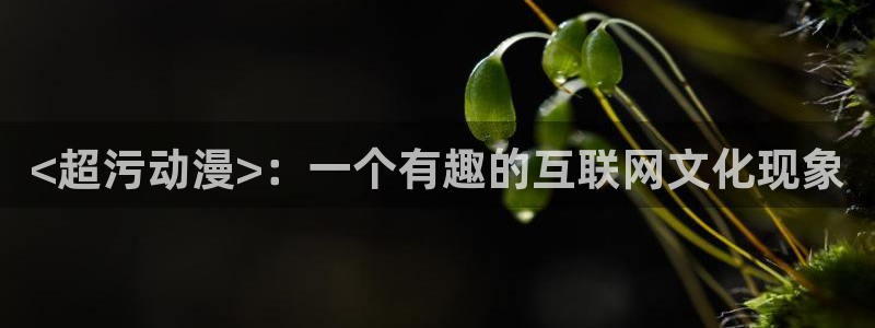 下载动漫天堂：<超污动漫>：一个有趣的互联网文化现象