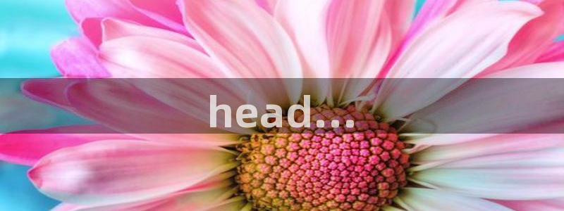免费a漫动漫天堂.：head...