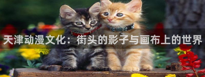 动漫天堂下载最新版：天津动漫文化：街头的影子与画布上的世界