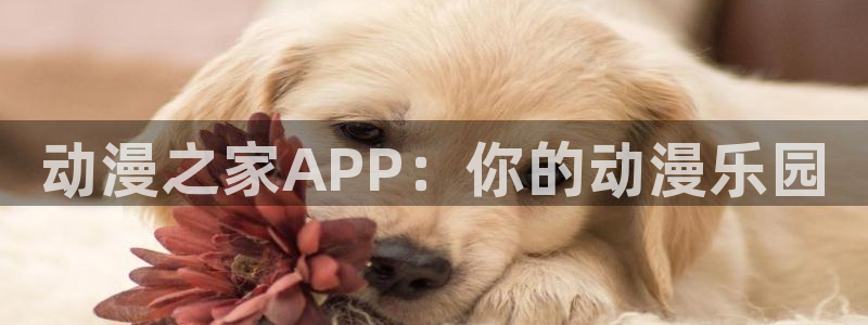 cos动漫天堂官网下载：动漫之家APP：你的动漫乐园
