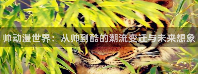 秋叶原动漫天堂：帅动漫世界：从帅到酷的潮流变迁与未来想象