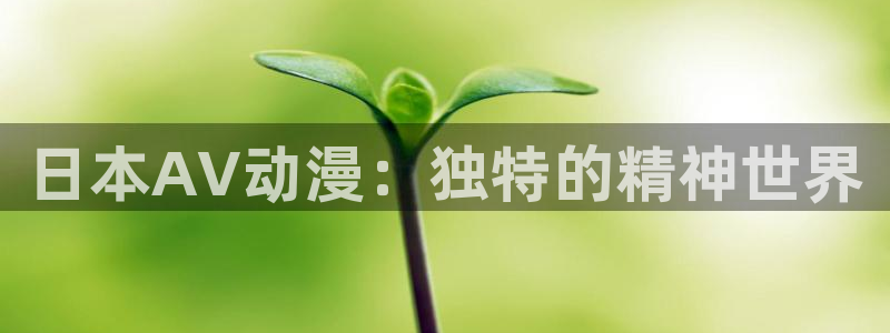 男人动漫天堂在线：日本AV动漫：独特的精神世界