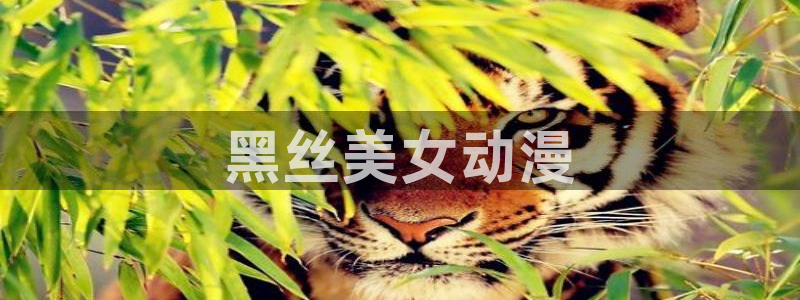 秋叶原动漫天堂