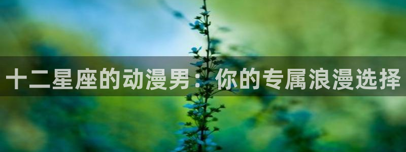 免费a漫动漫天堂.