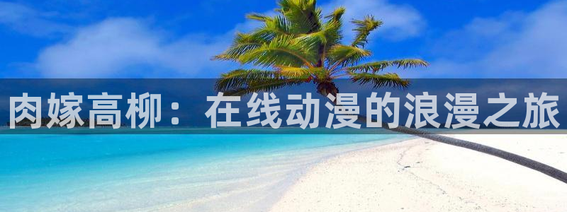 秋叶原动漫天堂：肉嫁高柳：在线动漫的浪漫之旅