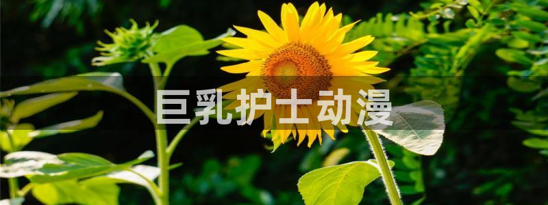 动漫天堂在线观看