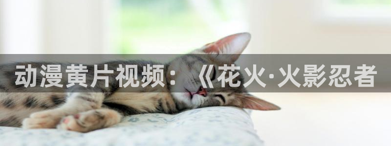 樱花动漫天堂