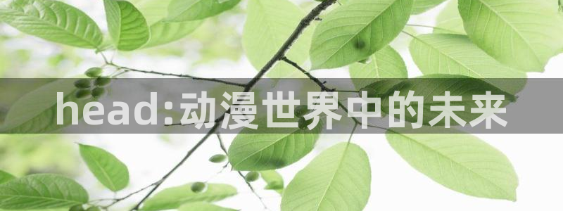 动漫天堂网址