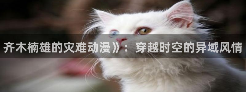 动漫天堂下载官方