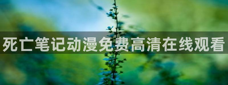 动漫天堂91