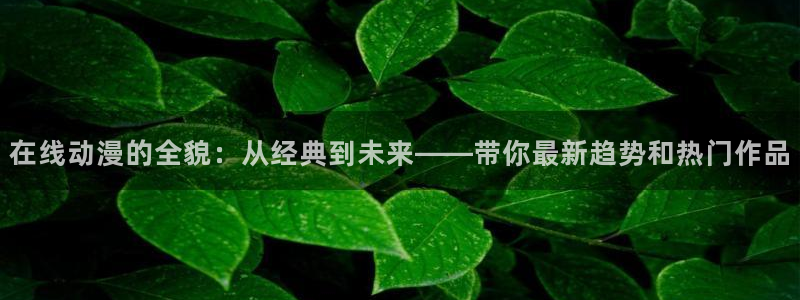 动漫天堂免费