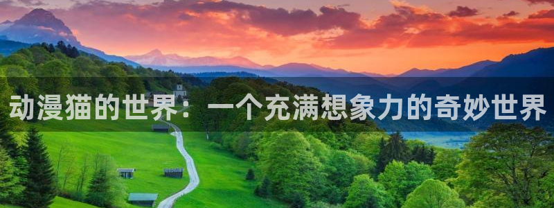 动漫天堂在线