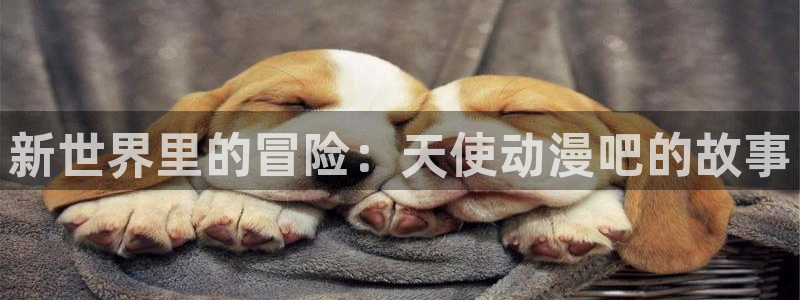 动漫天堂官方正版下载