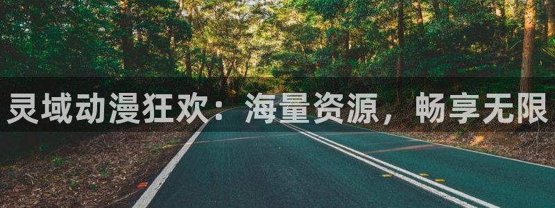 动漫天堂