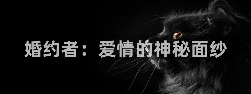 同人动漫天堂