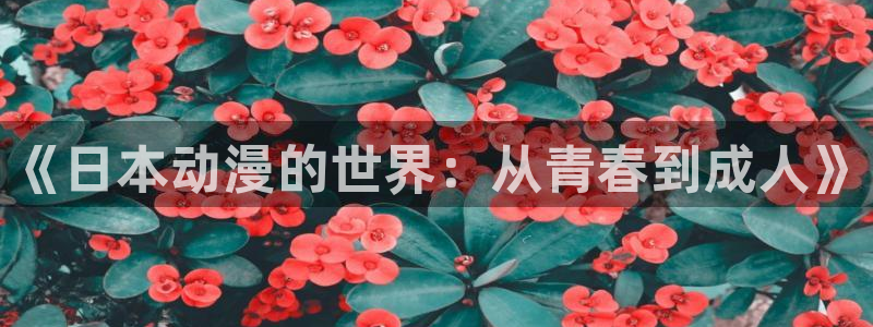 3d动漫天堂网